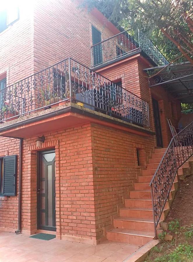 Taras House Ξενοδοχείο Βελιγράδι Εξωτερικό φωτογραφία